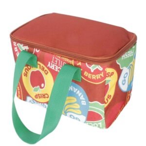 Multifunctional Insulated Lunch Bags Waterproof Lunch Tote